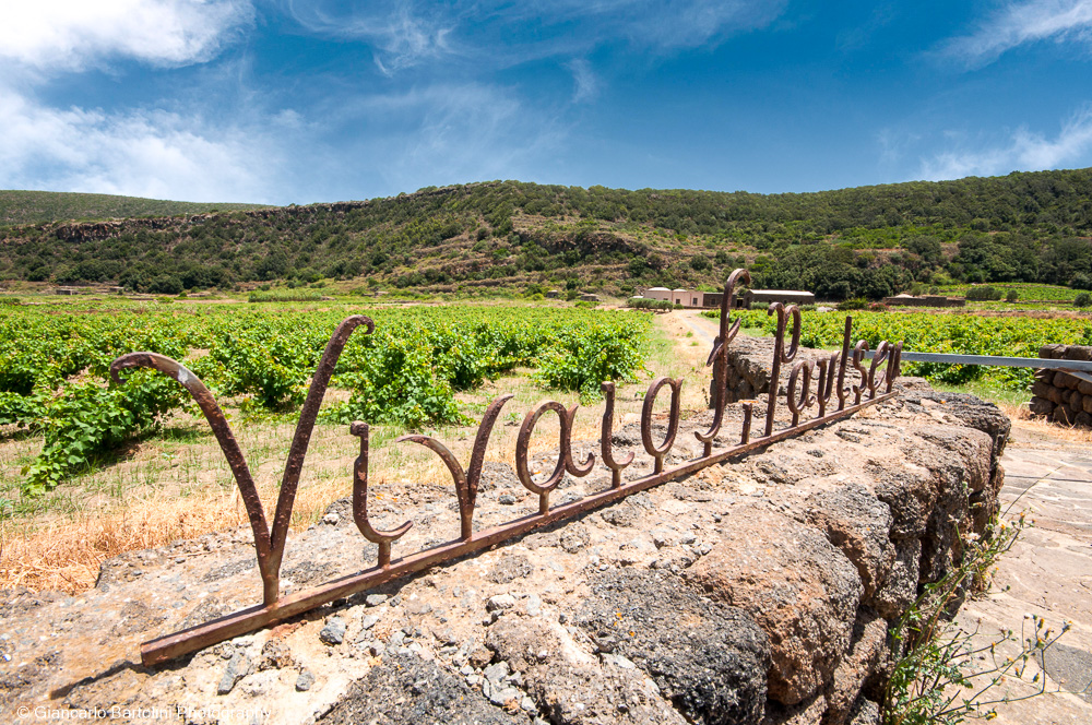 Azienda vinicola Passito di Pantelleria