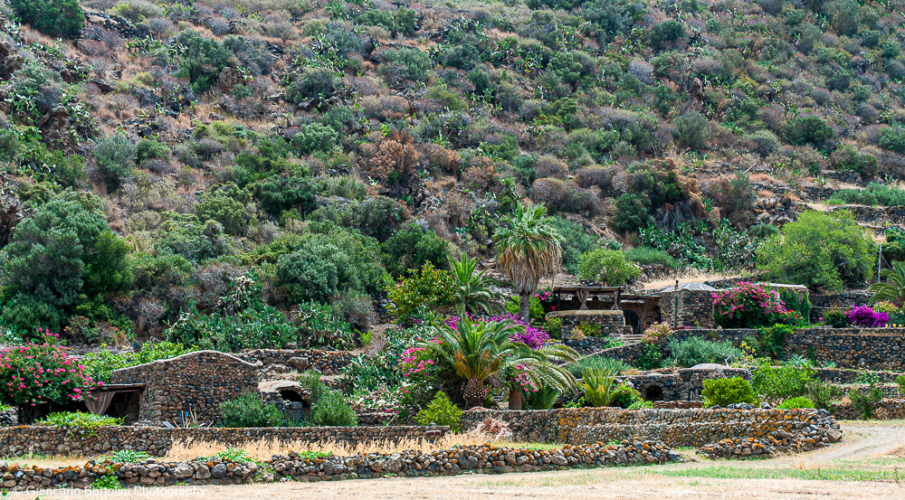 Muretti e Dammusi Pantelleria